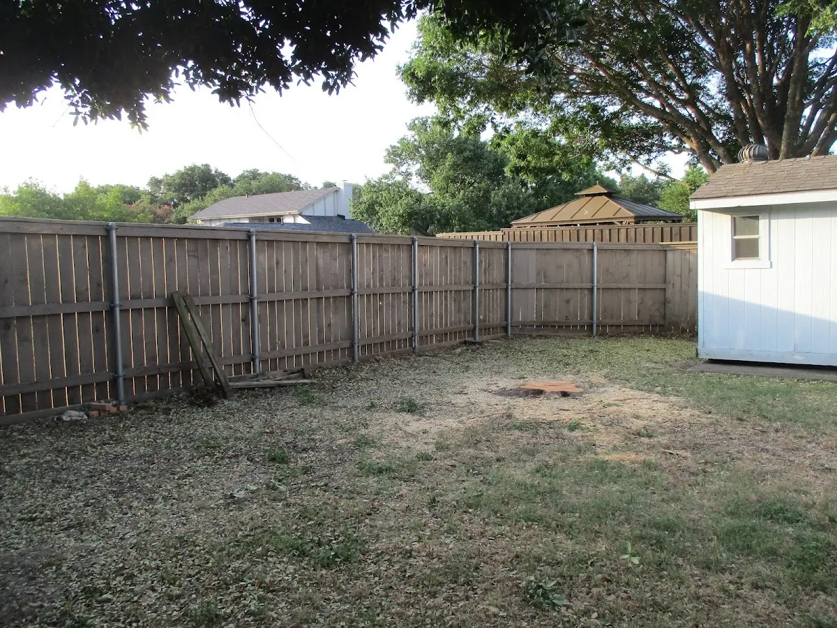 Cleared yard after professional tree removal in Closplint